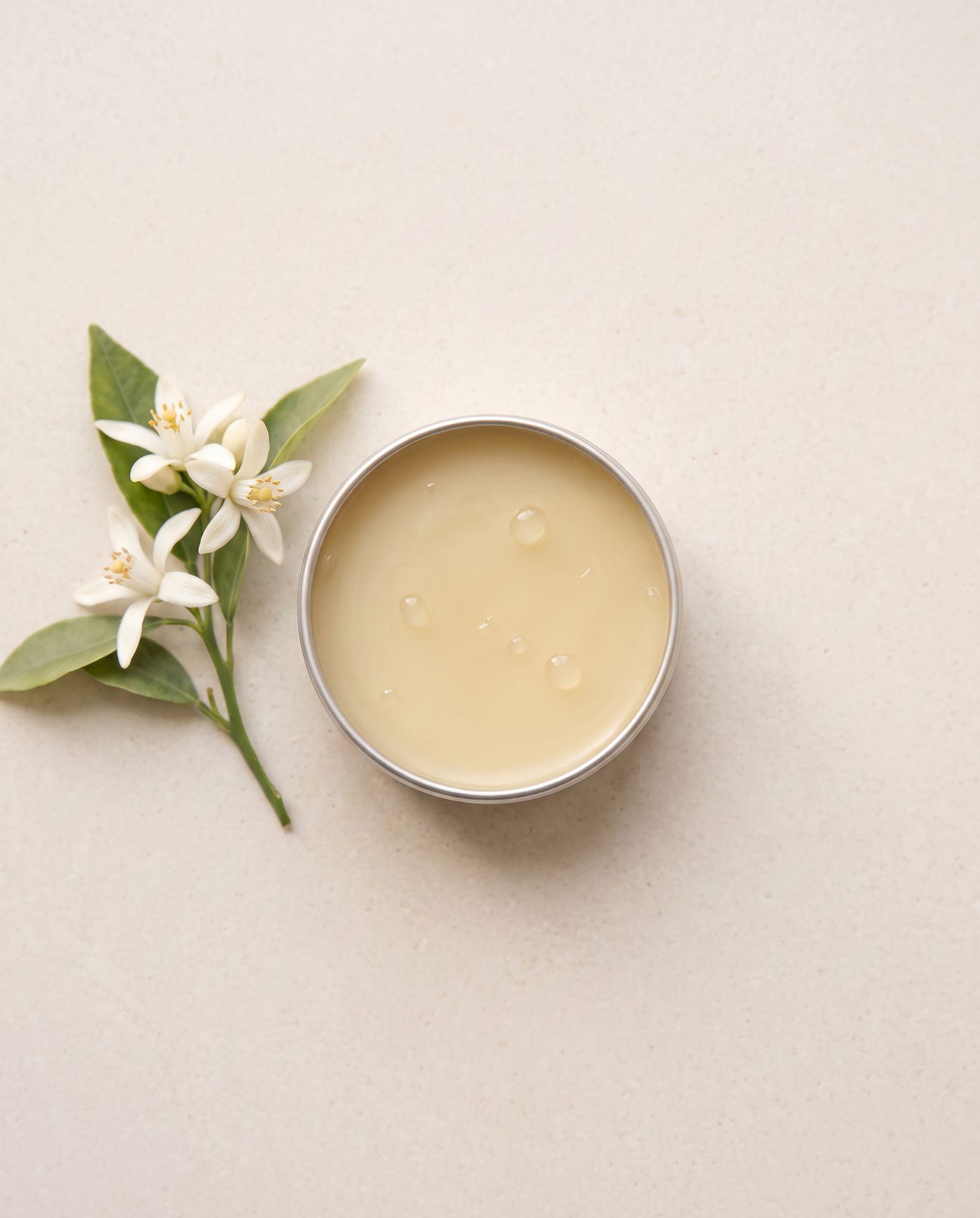Dew Lip Balm