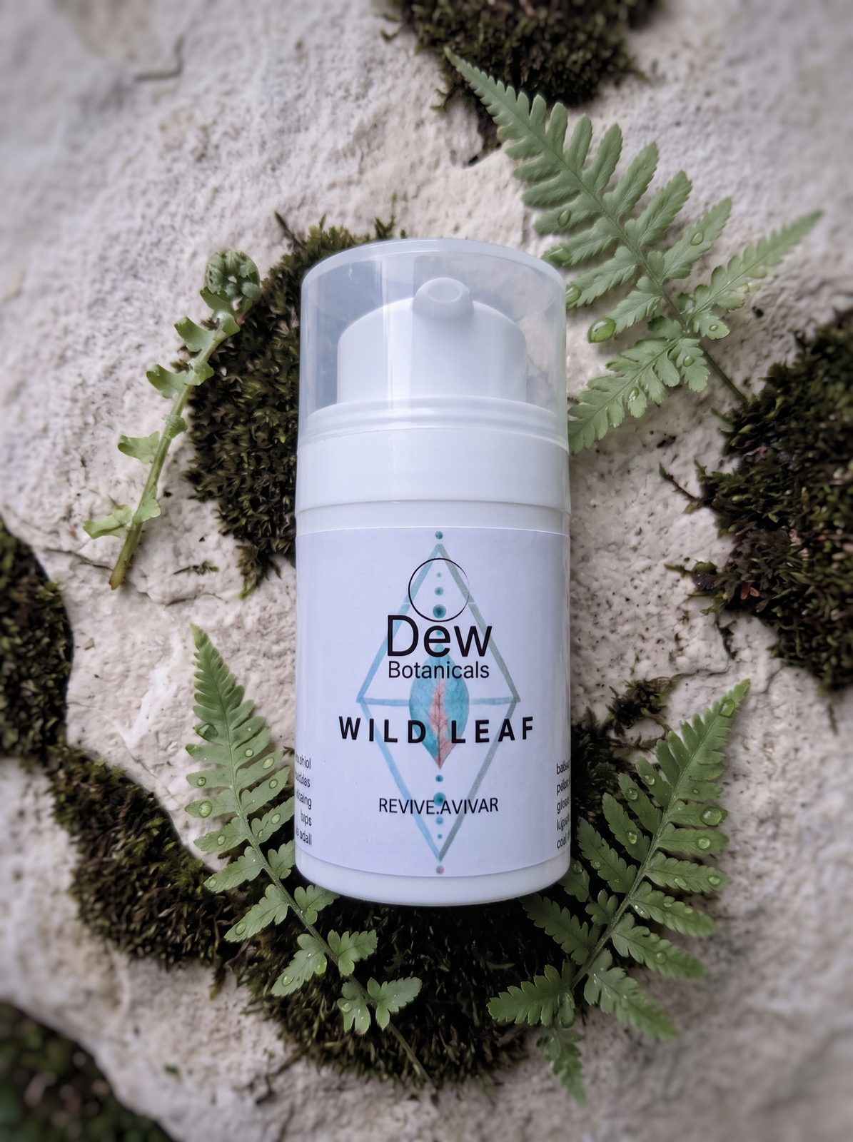 Dew Wild Leaf